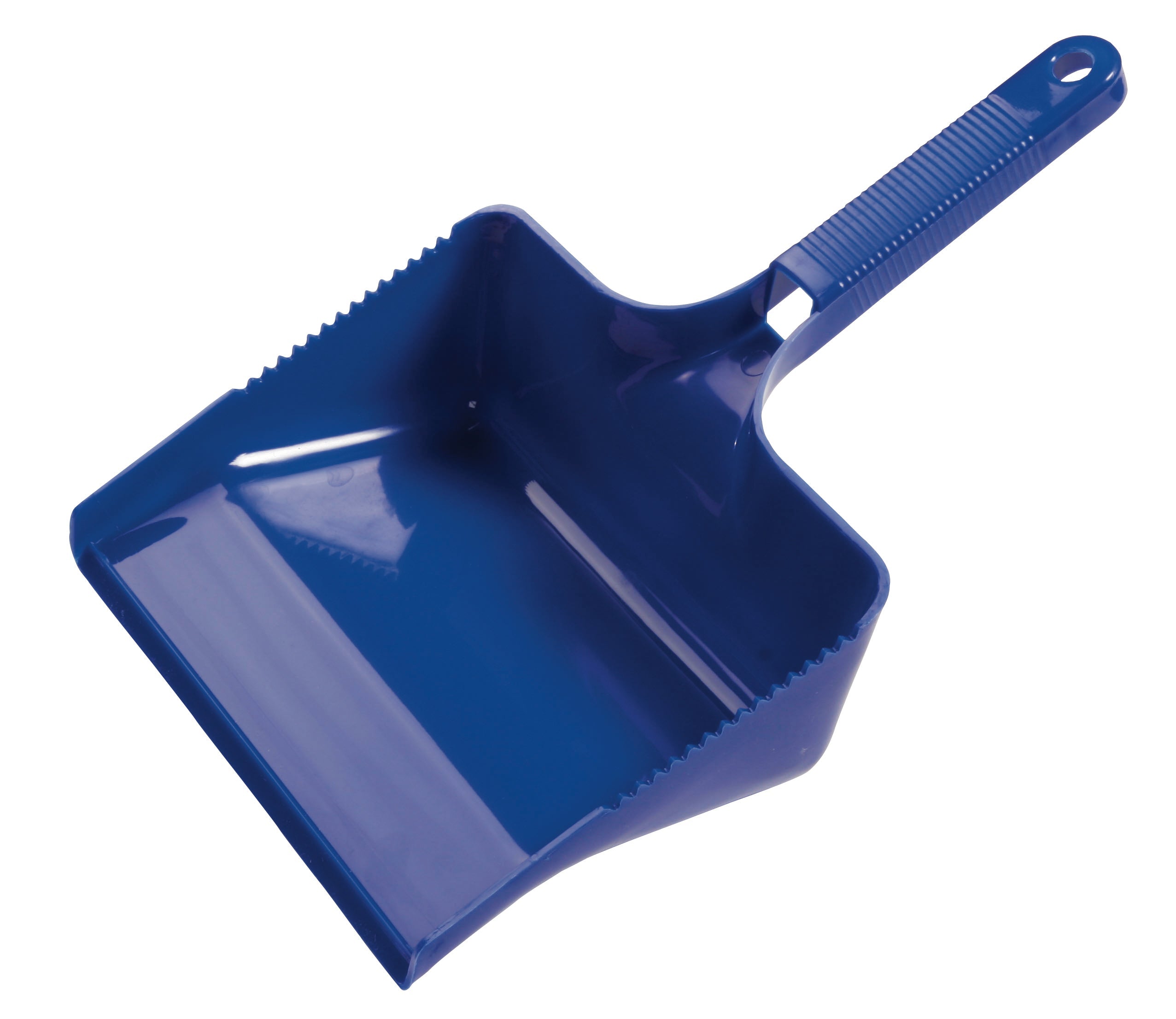 Diversey Kehrschaufel 1 Stk. (blau)