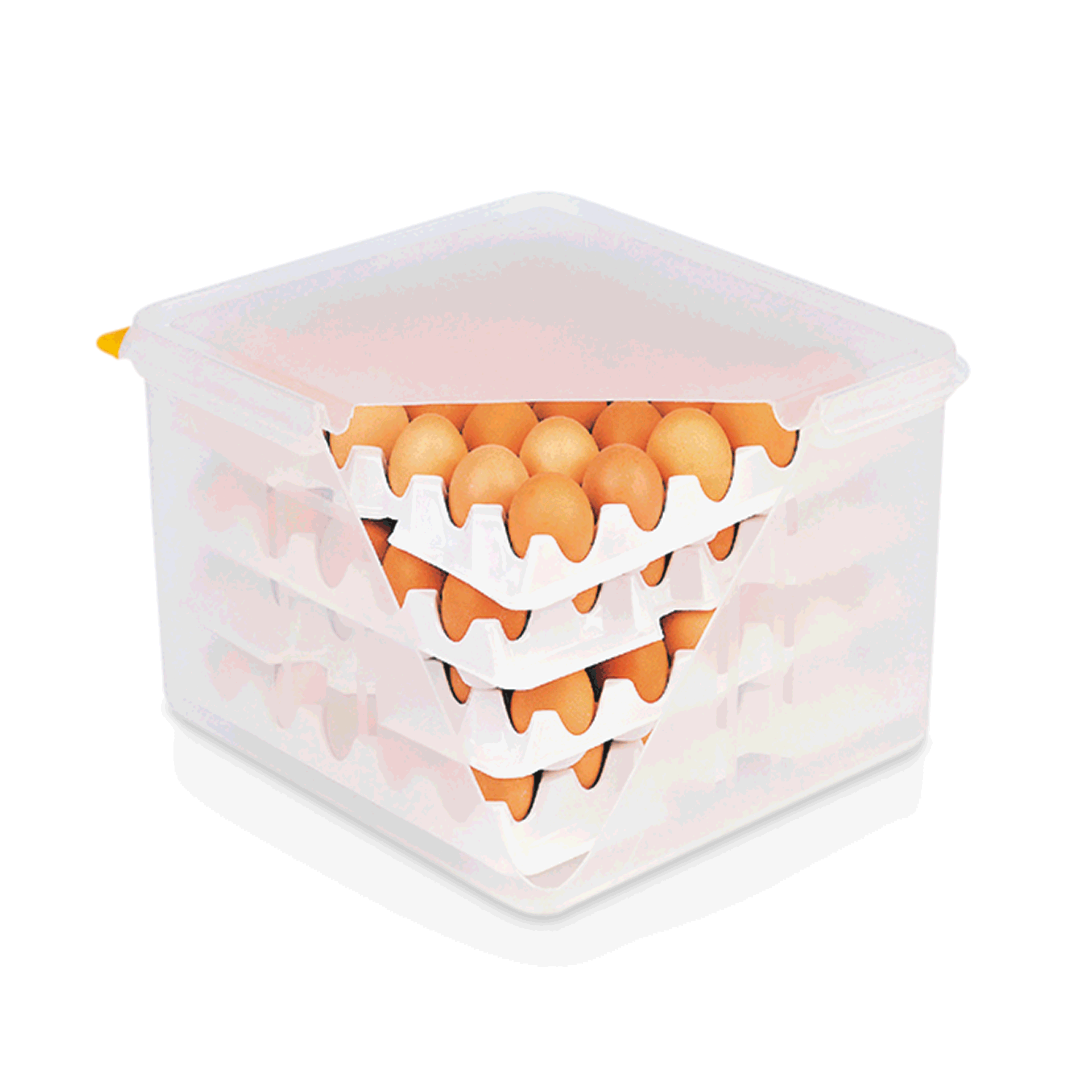 WAS Germany HACCP Eierbox (GN2/3, bis 120 Eier), Polypropylen, Weiß, 35,4x32,5x20cm (8623120)