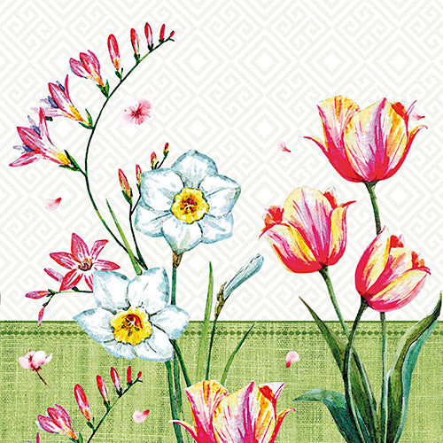 Papstar 6x 100 Servietten, Bunt, "Florentina", 3-lagig, 1/4-Falz, 33x33cm