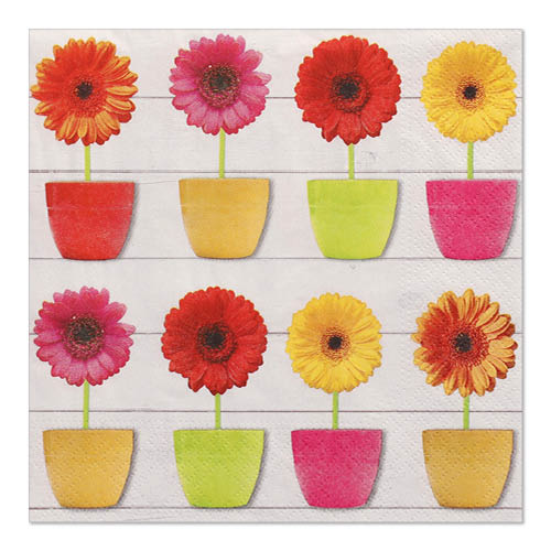 Papstar 200 Servietten, 3-lagig 1/4-Falz 33 cm x 33 cm "Glowing Gerberas"
