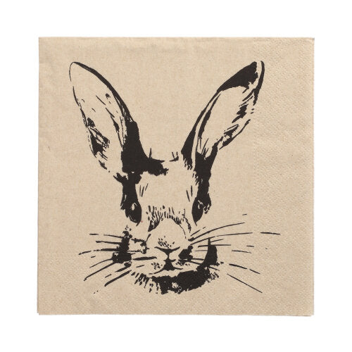 Papstar 15x 20 Servietten, Natur, "My Name is Rabbit", 3-lagig, 1/4-Falz, 33x33cm