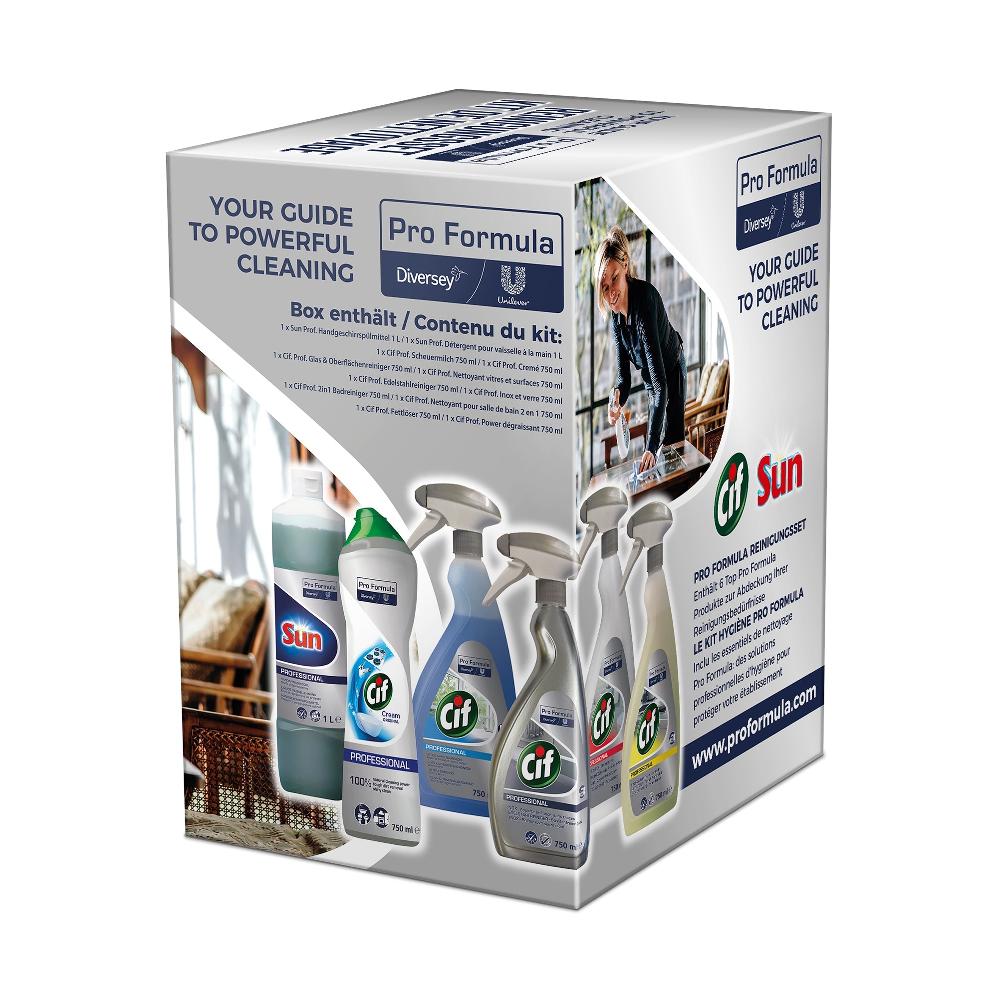 Diversey Pro Formula Reinigungsset gemischt 5 x 750ml, 1 x 1L