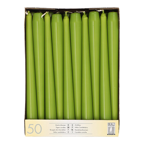 Papstar 2x 50 Leuchterkerzen Ø 2,2 cm · 25 cm olivgrün
