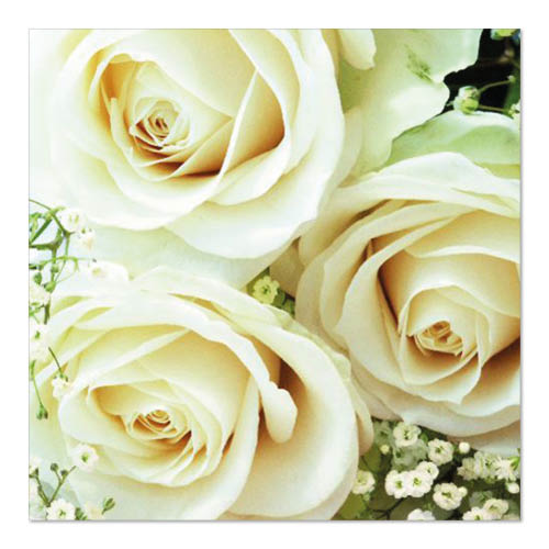 Papstar 180 Servietten, 3-lagig 1/4-Falz 33 cm x 33 cm "Royal Flower"