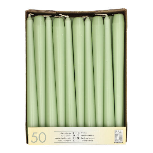 Papstar 2 x 50 Leuchterkerzen Ø 2,2 cm · 25 cm jadegrün