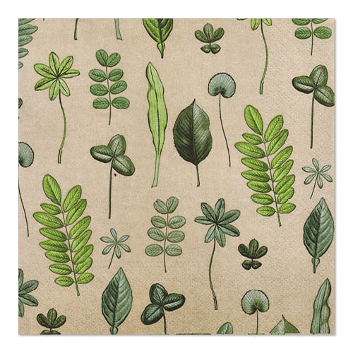 Papstar 10x 20 Servietten, 3-lagig 1/4-Falz 33 cm x 33 cm "Botanical Fantasy"