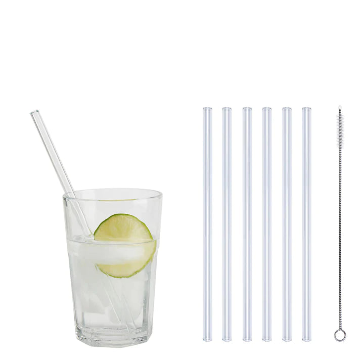 Klare Glas Trinkhalme + Nylon-Reinigungsbürste - NOPLASTIK