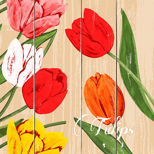 Papstar 8 x 50 Servietten, 3-lagig 1/4-Falz 40 cm x 40 cm "Blooming Tulips"